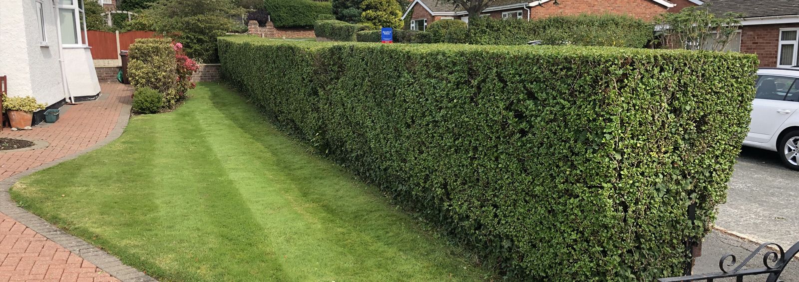 Hedge maintenance service Conwy North Wales