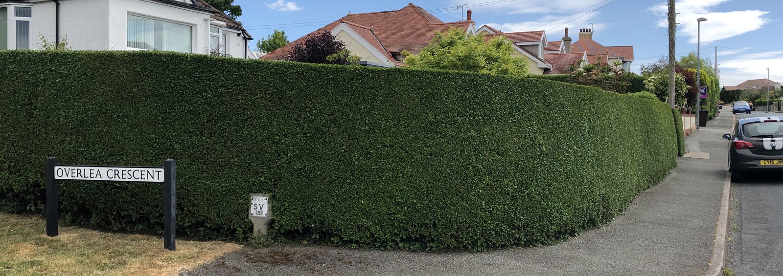 Hedge cutting trimming Conwy North Wales